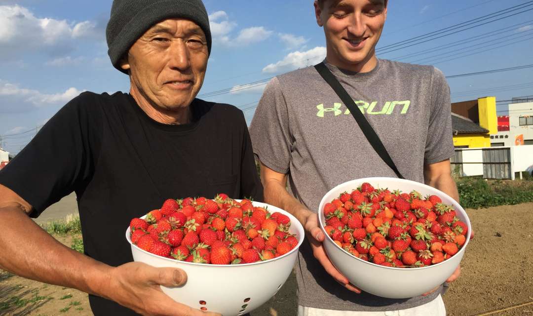 two men hold up bowls of strawberries