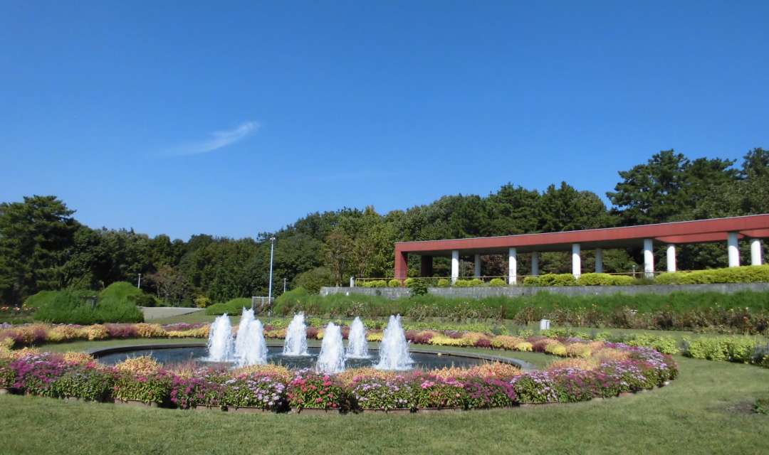 round pond with fountains surrounded by flowers