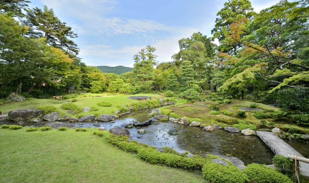 garden with calm river, rocks and trees