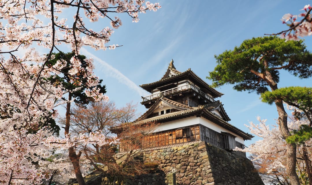 Japanese castle framed by cherry blossom and trees