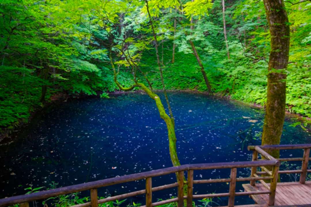 Juniko Lake, Shirakami