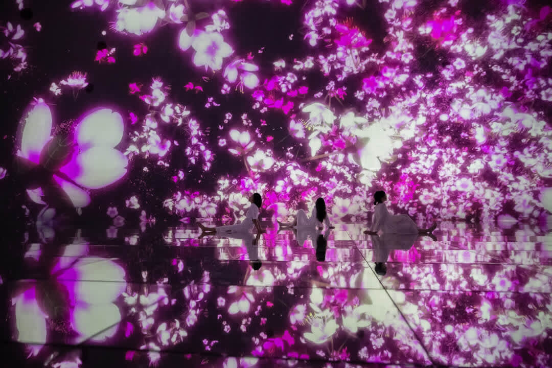 Three women sitting on the floor at the ‘Floating in the Falling Universe of Flowers’ digital art work at teamLab Planet TOKYO