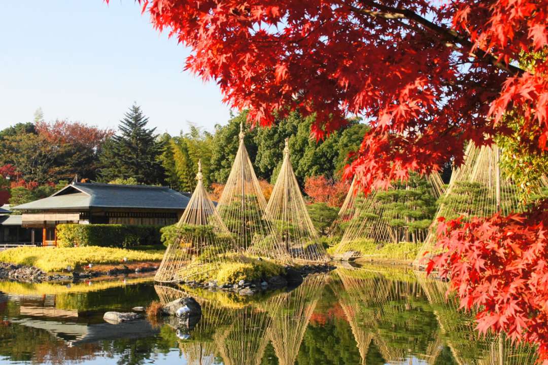 Coloured autumn leaves at Shirotori Garden, Nagoya, Aichi Prefecture