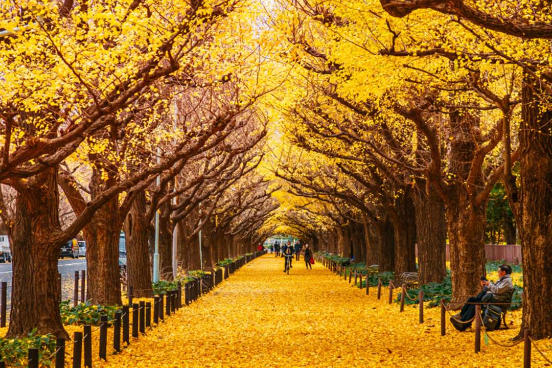 japan places to visit in autumn