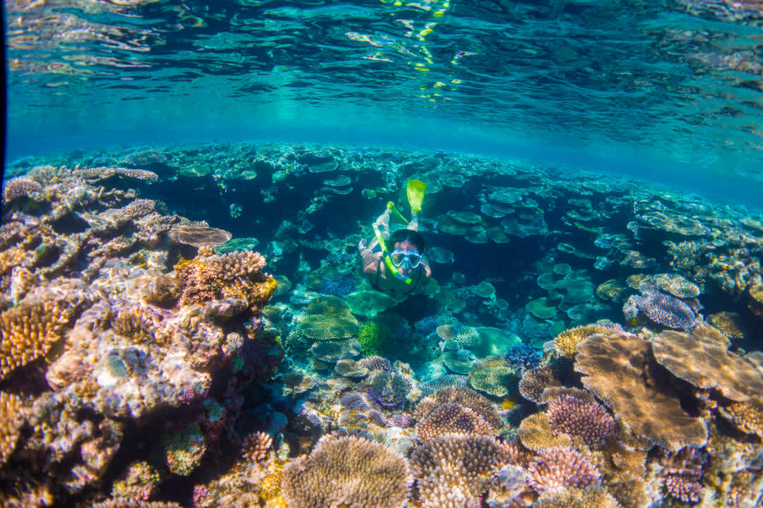 Woman snorkelling at Ballas Island, Okinawa