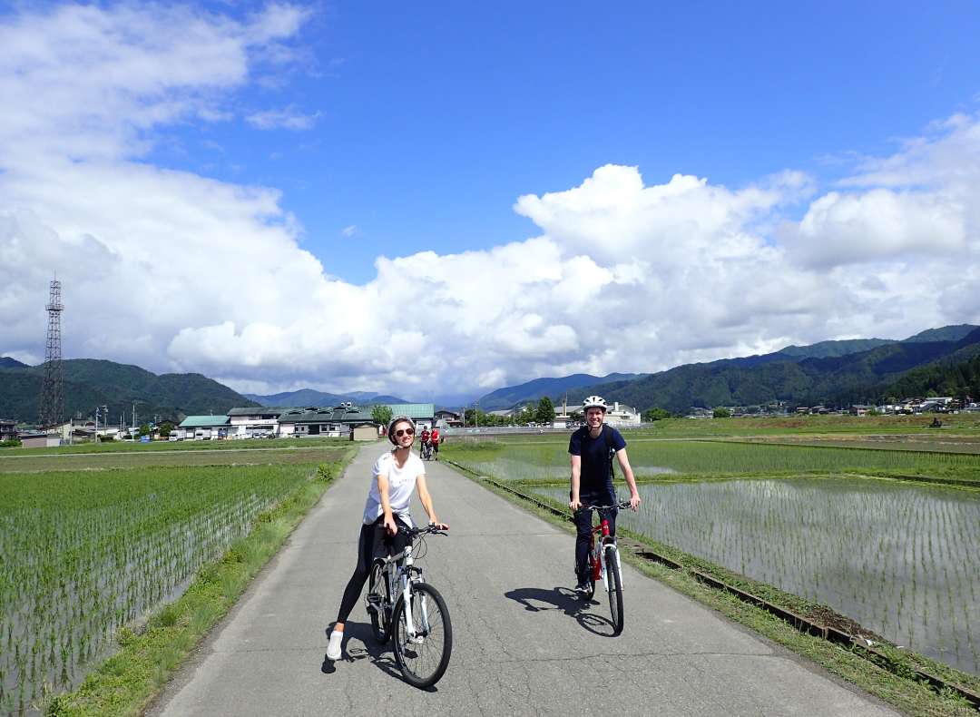 scenery_of_rice_field_ in_the_tour