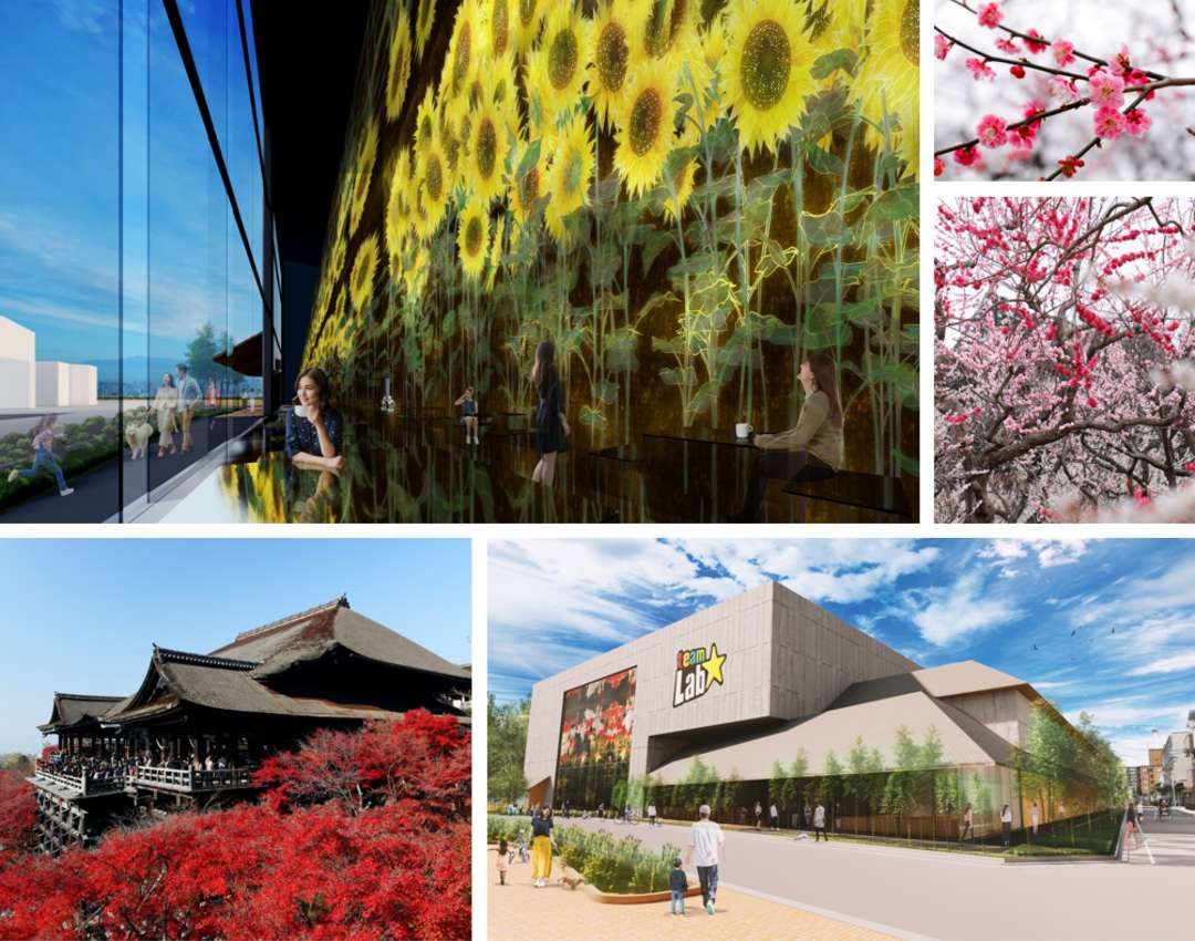 New updates and openings for people thinking of travelling to bucket list Kyoto in 2022