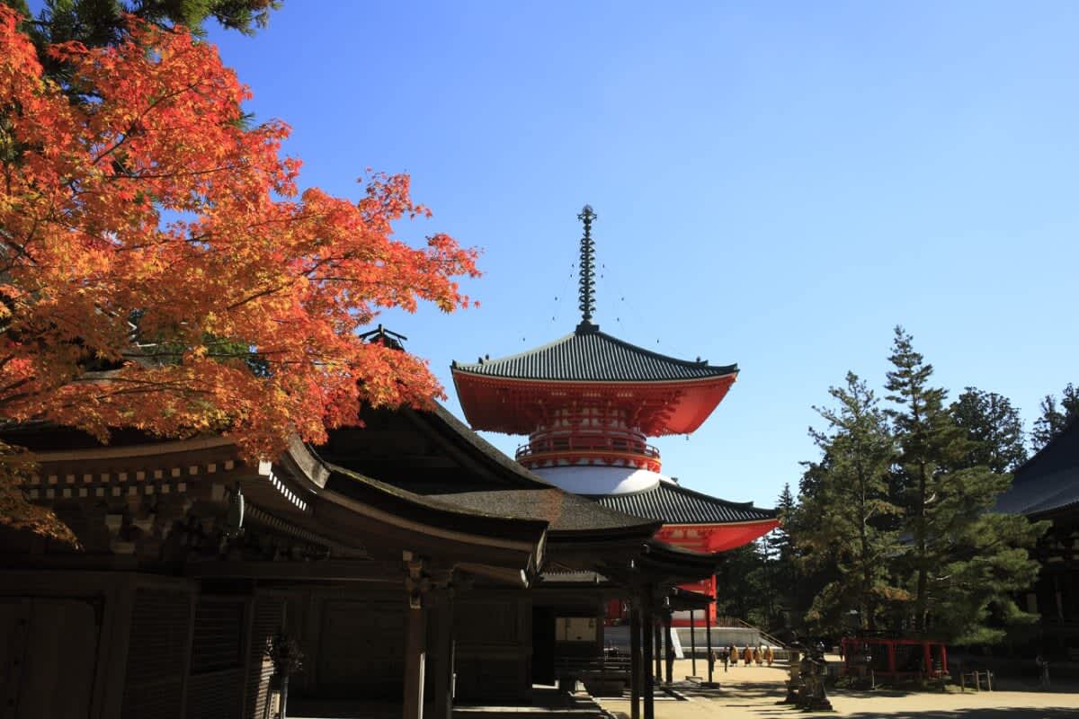 Autumn at Kompon Daito Pagoda in Koyasan Wakayama Prefecture