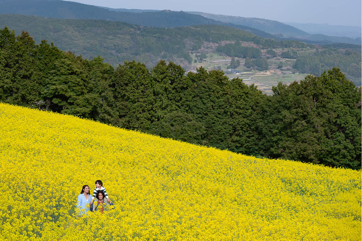 Spot - Spring | When to go | Welcome to Japan. Unforgettable. | JNTO