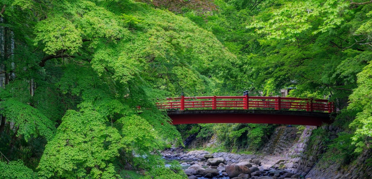 Onsen et Yoga au Mont Fuji