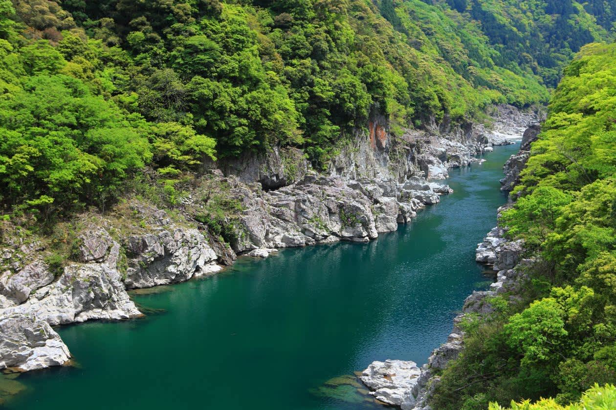 japan tourist information center