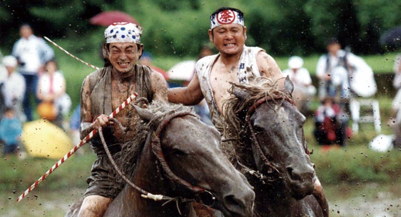riding on the horses in the muddy rice-field