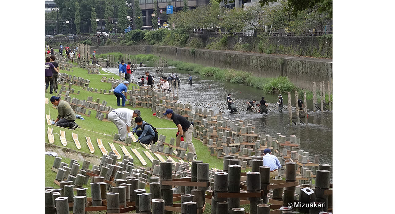 white wax extracted from the fruit of 250-year-old wax trees