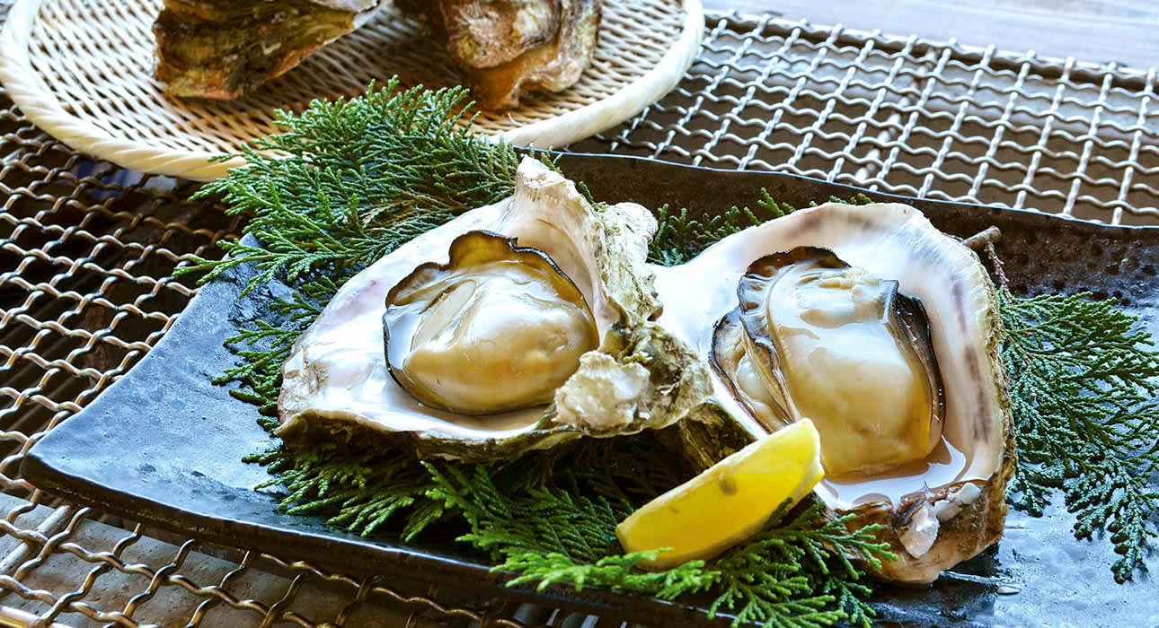 rock oysters in Nippo Kaigan Quasi-National Park