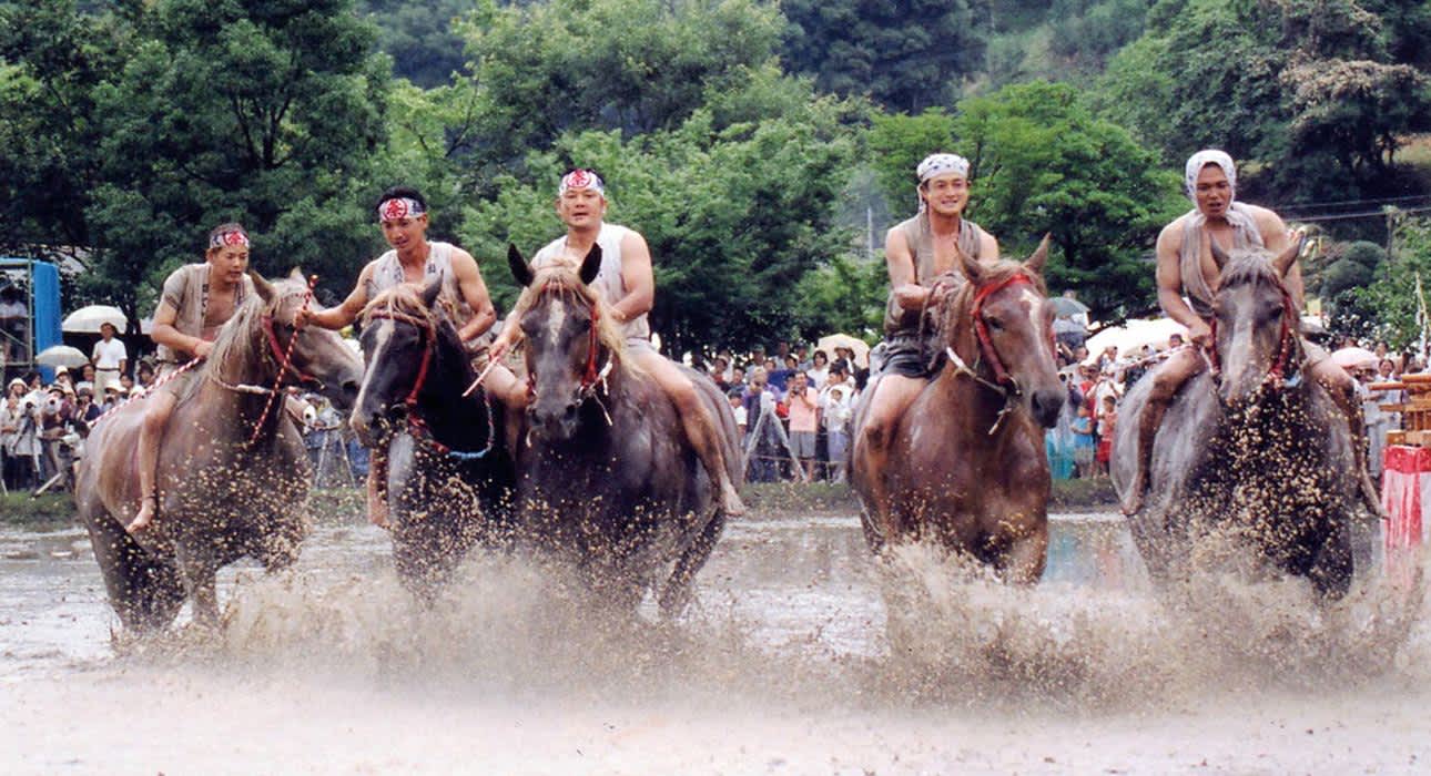 riding on the horses in the muddy rice-field