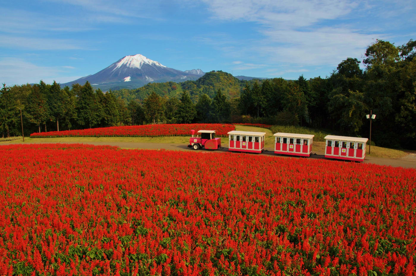 全國最大型花卉主題公園 鳥取花迴廊 Experiences In Japan