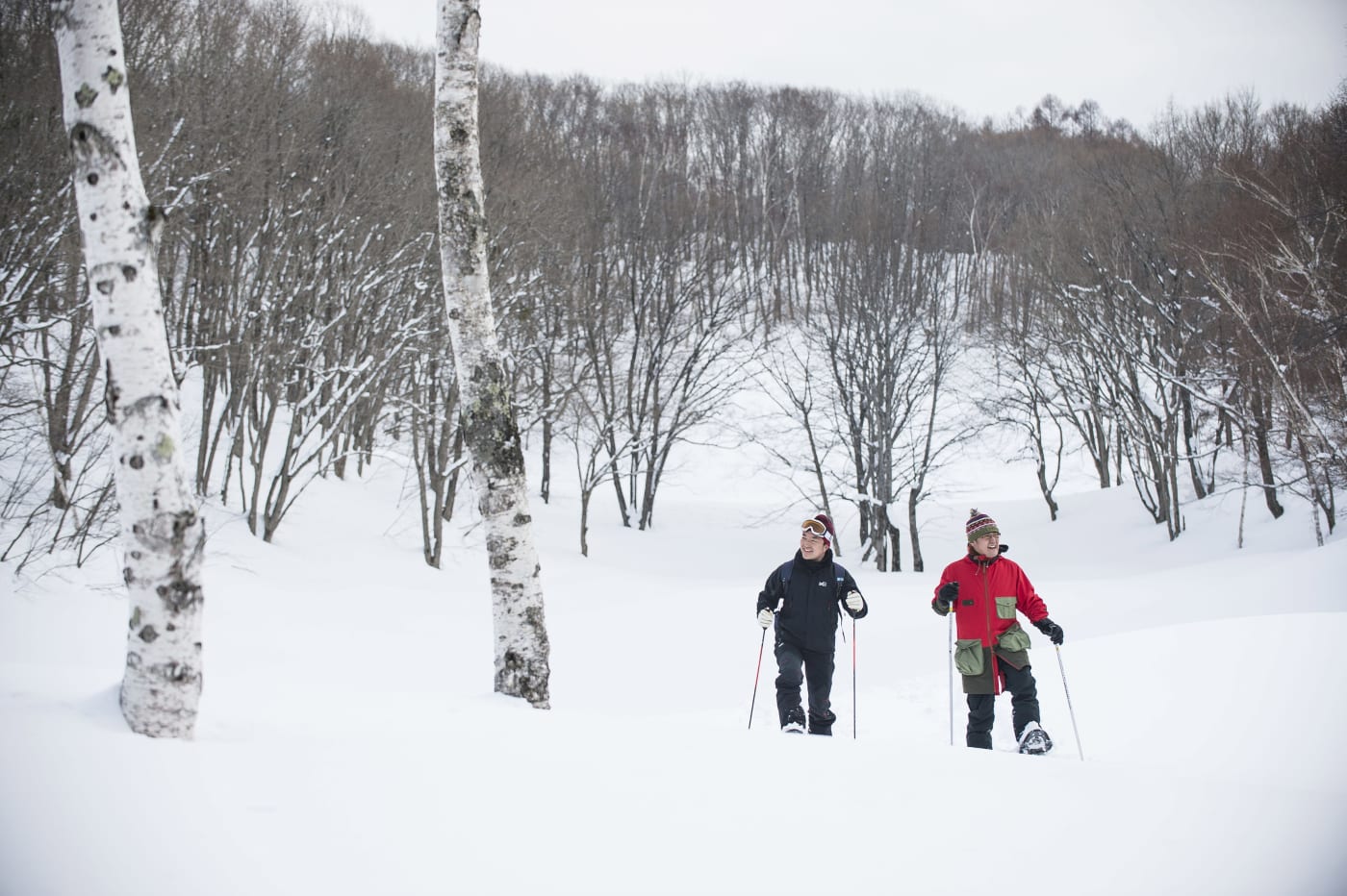 本州唯一正宗的狗拉雪橇體驗 水上高原滑雪渡假村 experiences in japan