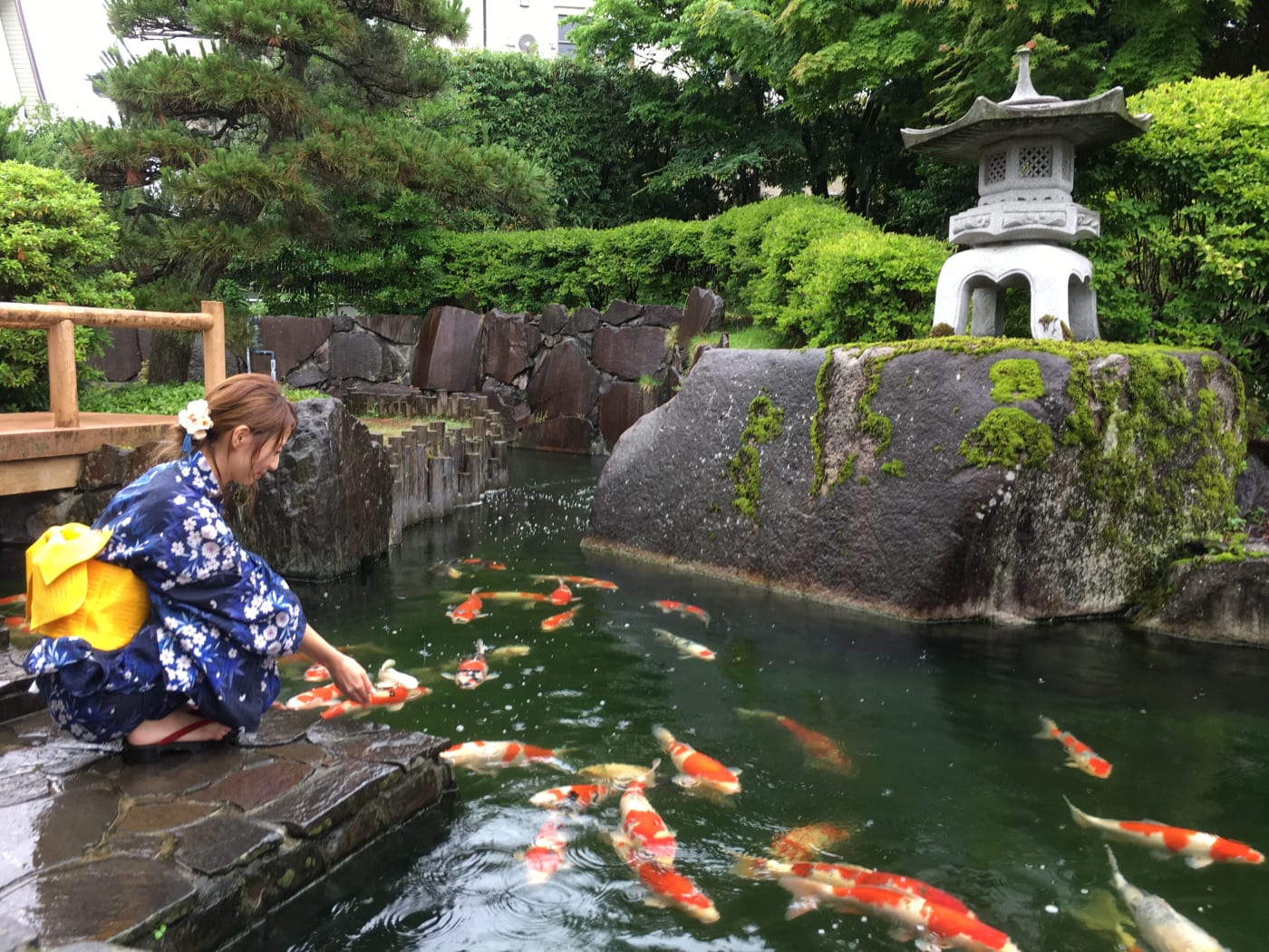 新潟縣錦鯉之鄉 小千谷的錦鯉展示資料館 Experiences In Japan