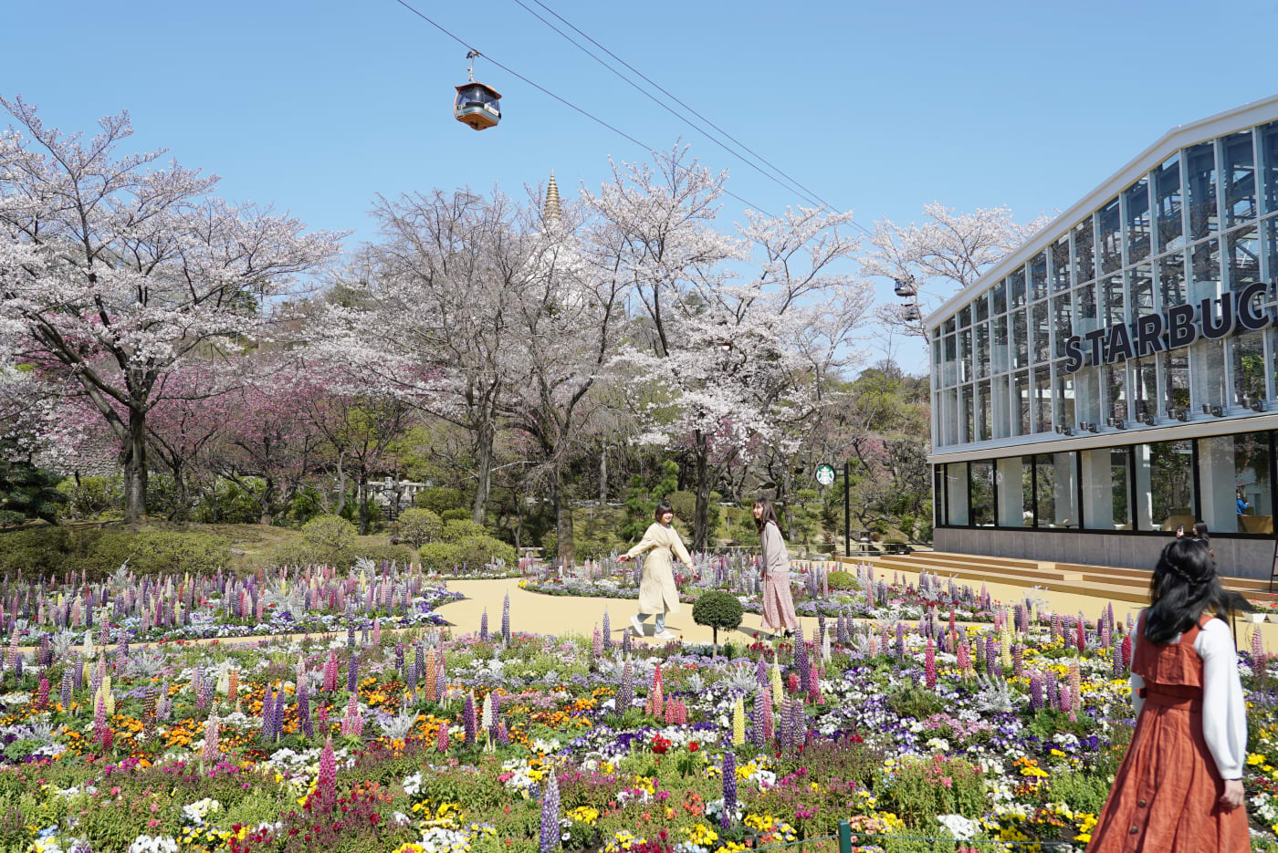 擺脫植物園的舊有印象新感覺的花卉公園hana Biyori Experiences In Japan