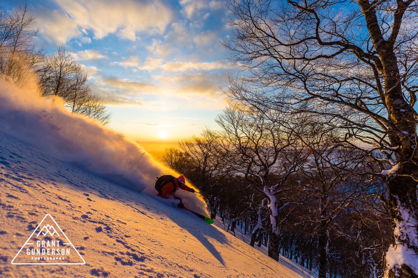 japan national tourism organization