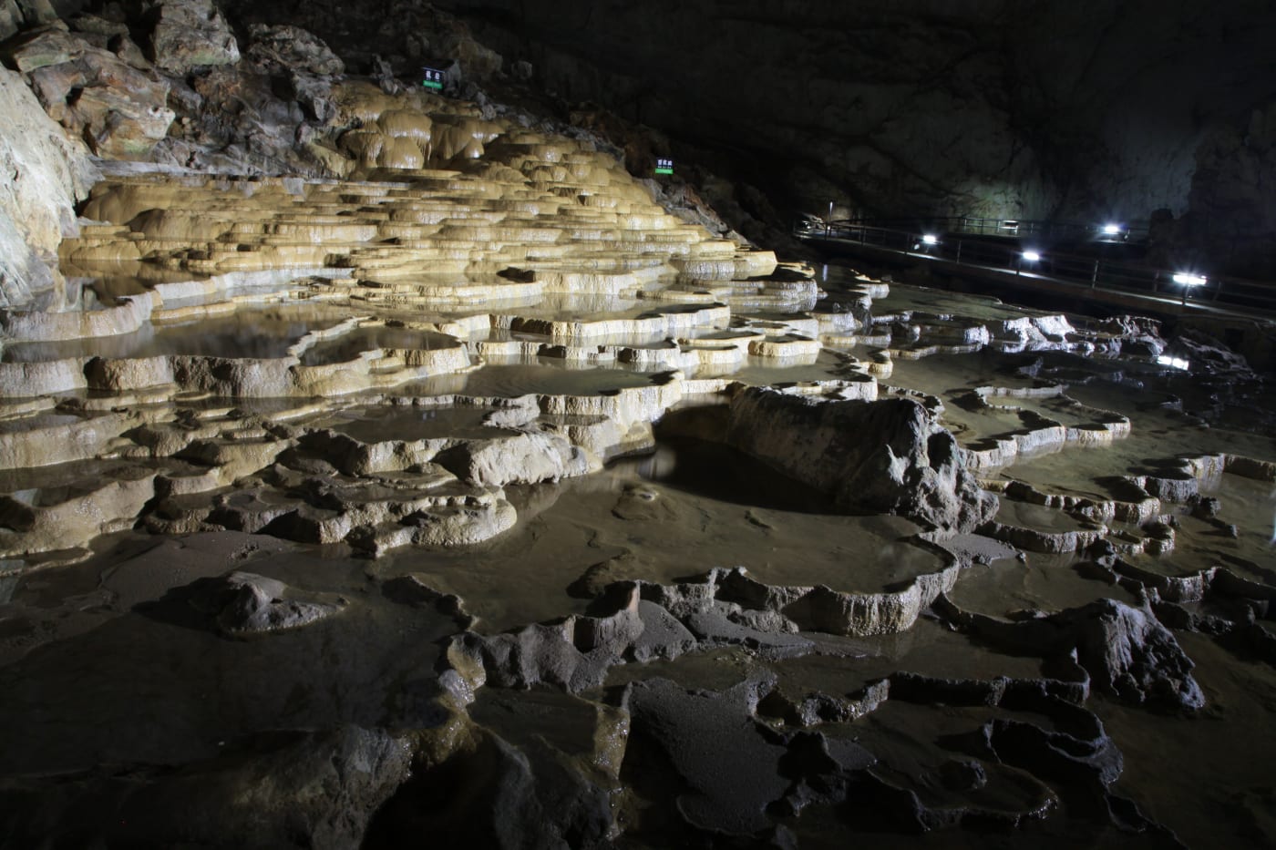 全日本規模最大的石灰岩地形公園 秋吉台 Experiences In Japan