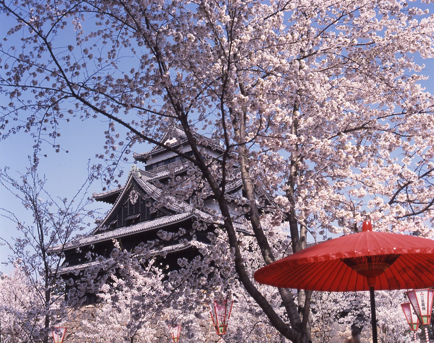 百大名城中的國寶天守閣 松江城 Experiences In Japan