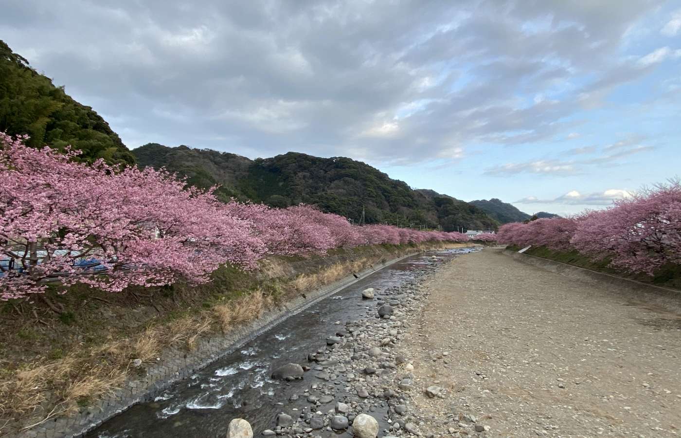 travel japan in february