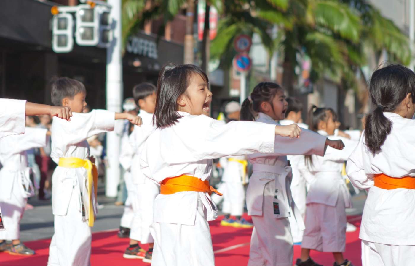 The Spirit of Budo: Grapple with Japanese Martial Arts and