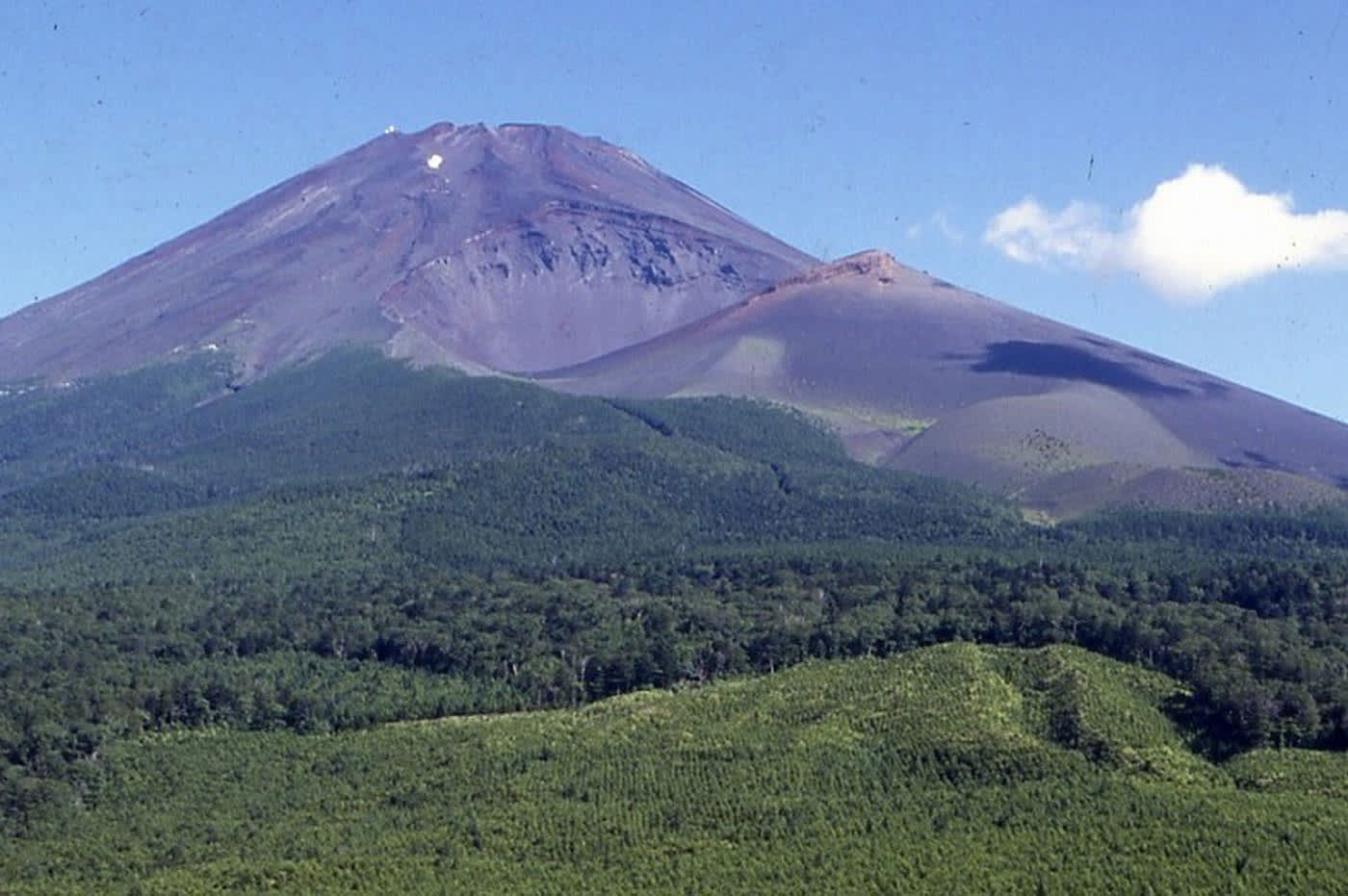 mt fuji day trip