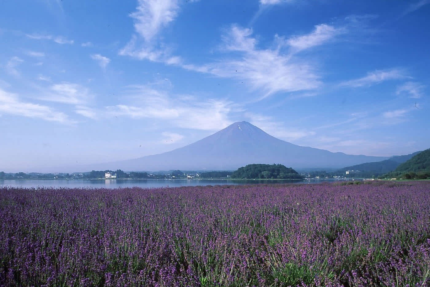 mt fuji day trip