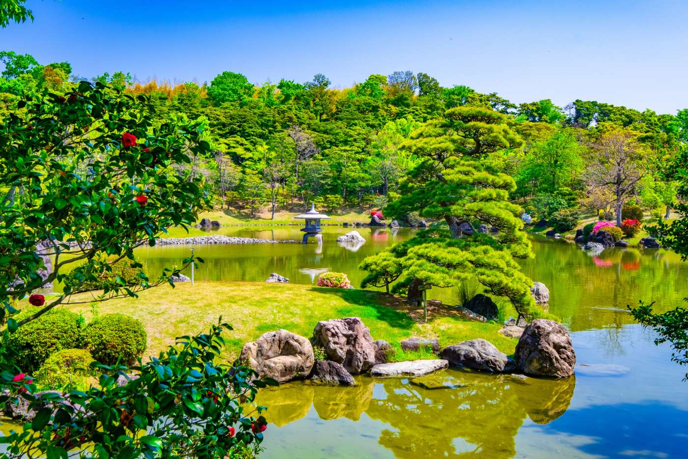 Nature-focused theme park to open in Okinawa in 2025 - The Japan Times