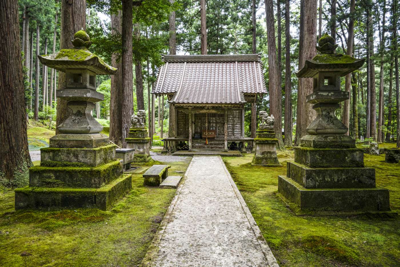 Exploring Japan's Magical Moss Gardens | Blog | Travel Japan (Japan ...