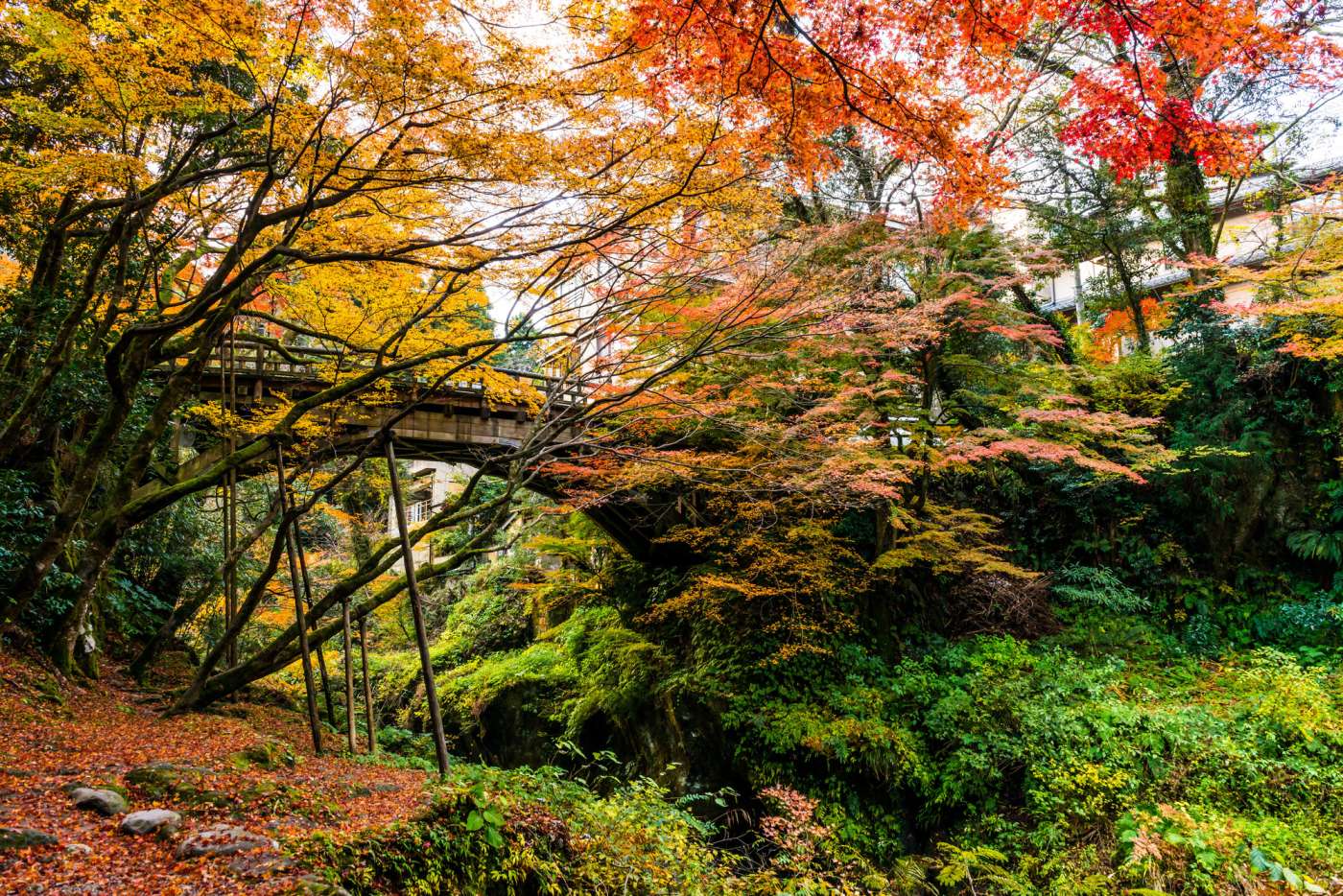 Go Beyond Japan's Major Cities: Hokuriku Shinkansen