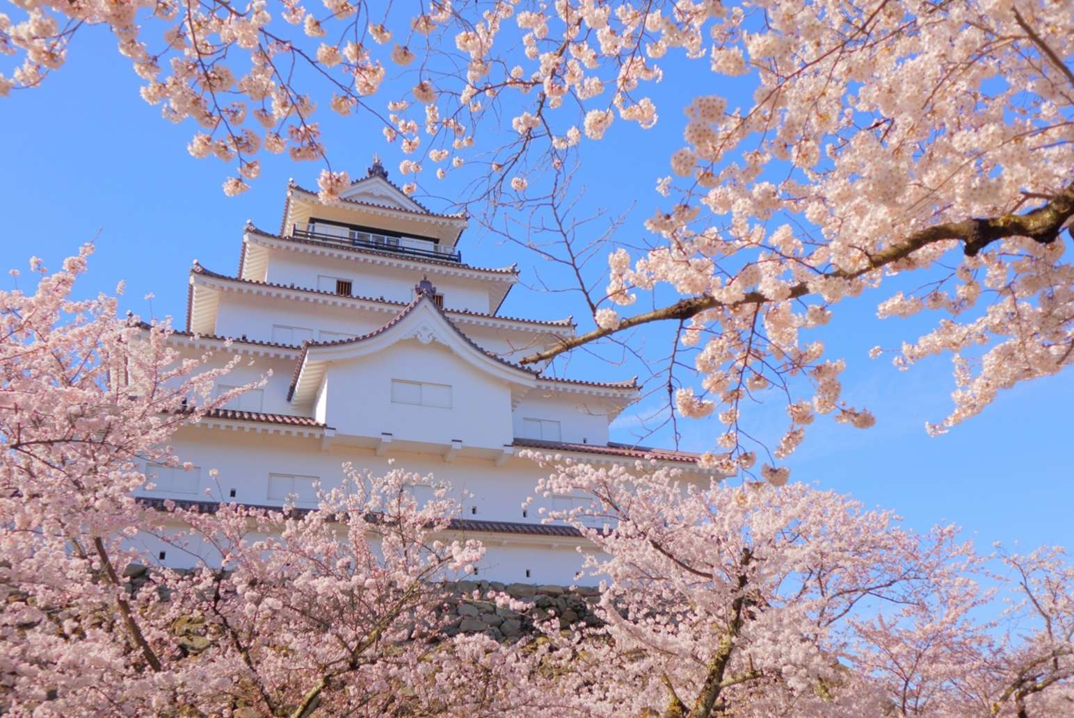 Tsuruga Castle (Aizu-Wakamatsu Castle)