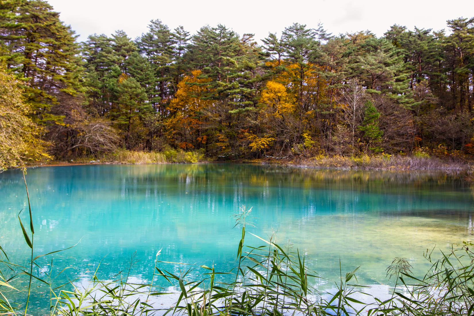 Explore BandaiAsahi National Park National Parks of Japan