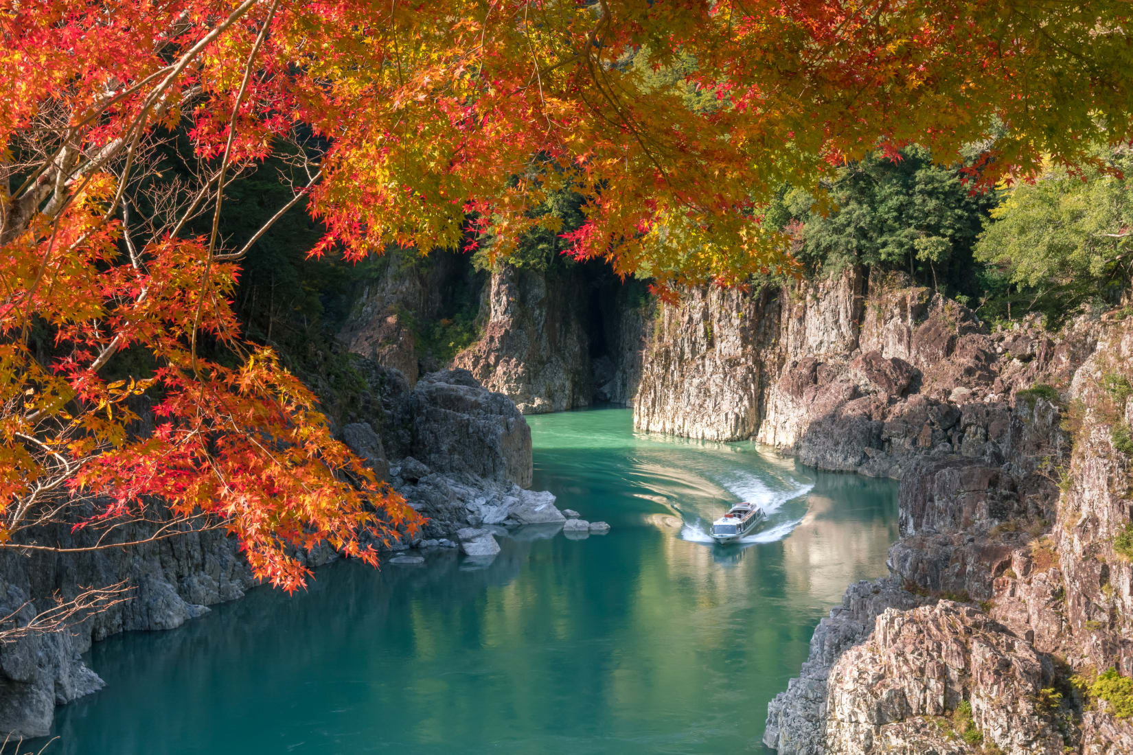 See and Do | Yoshino-Kumano | National Parks of Japan