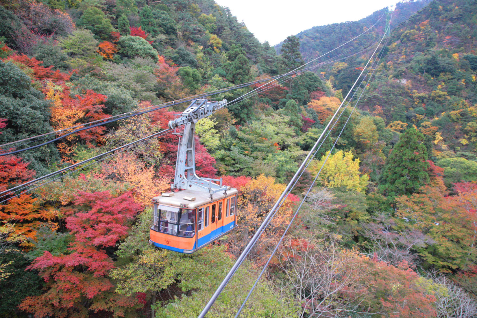 城市中的國家公園 六甲山 瀨戶內海 日本國家公園