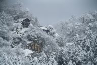 Japan's Local Treasures