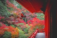 Japan's Local Treasures