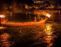 Ukai Cormorant Fishing