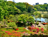 Rikugien Garden