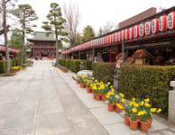 Kasama Inari-jinja Shrine
