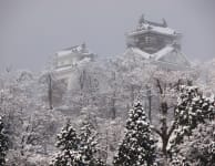 echizen ono castle