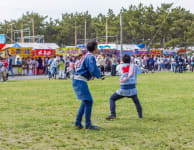 Hamamatsu Festival