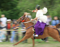 Aoi Matsuri