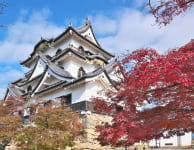 hikone castle