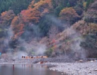 Kawayu Onsen