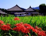 Asuka-dera Temple