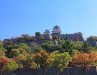 marugame castle