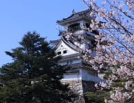 kochi castle